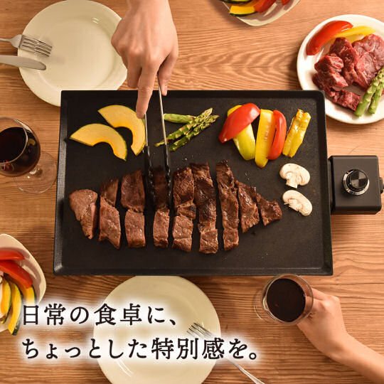 Thanko Slim Hot Plate Everill