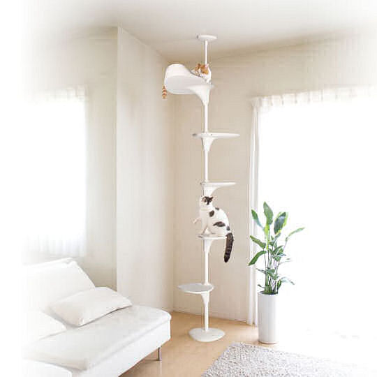 Cat Forest Climbing Tower 2