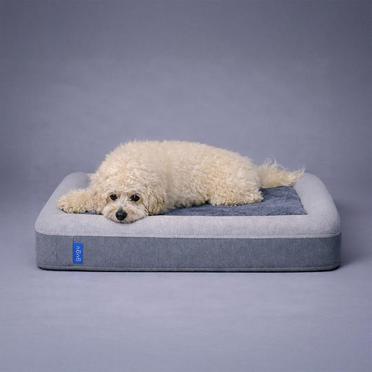 GuGu Doggie Bed