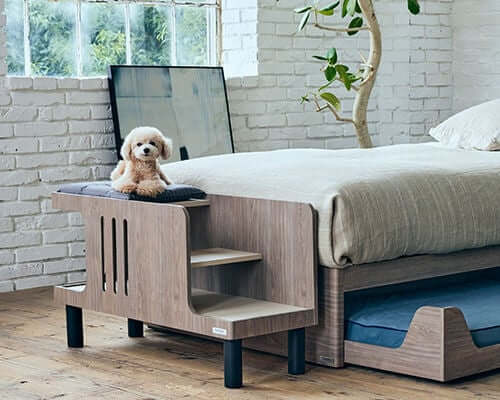 Pet Step Bench