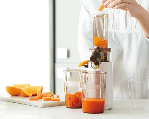Recolte Cold Press Juicer Mini